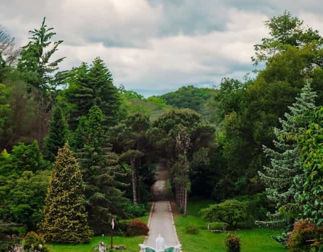Atatürk Arboretumu nerede ve nasıl gidilir? Atatürk Arboretumu'nda ne yapılır, giriş ücreti, pratik öneriler gibi bilgiler Atatürk Arboretumu gezi rehberi ile elinizin altında.