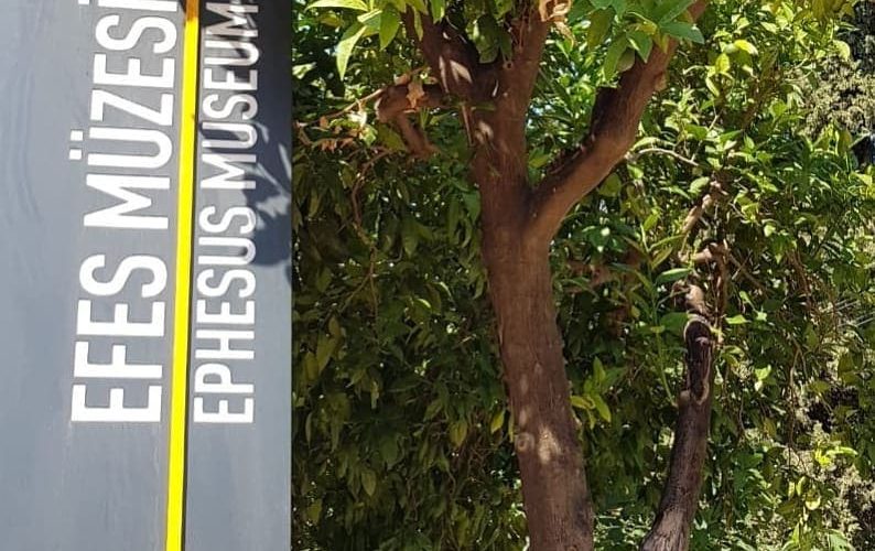 Efes Arkeoloji Müzesi: Giriş Ücreti, Ulaşım, Eserleri, Saatleri