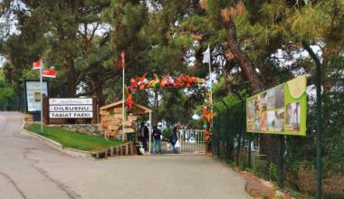 (dilburnu mesire alanı) Dilburnu Tabiat Parkı hakkında bilmeniz gereken her şey! Nasıl gidilir, giriş ücreti, yapılacak aktiviteler ve daha fazlası bu rehberde.