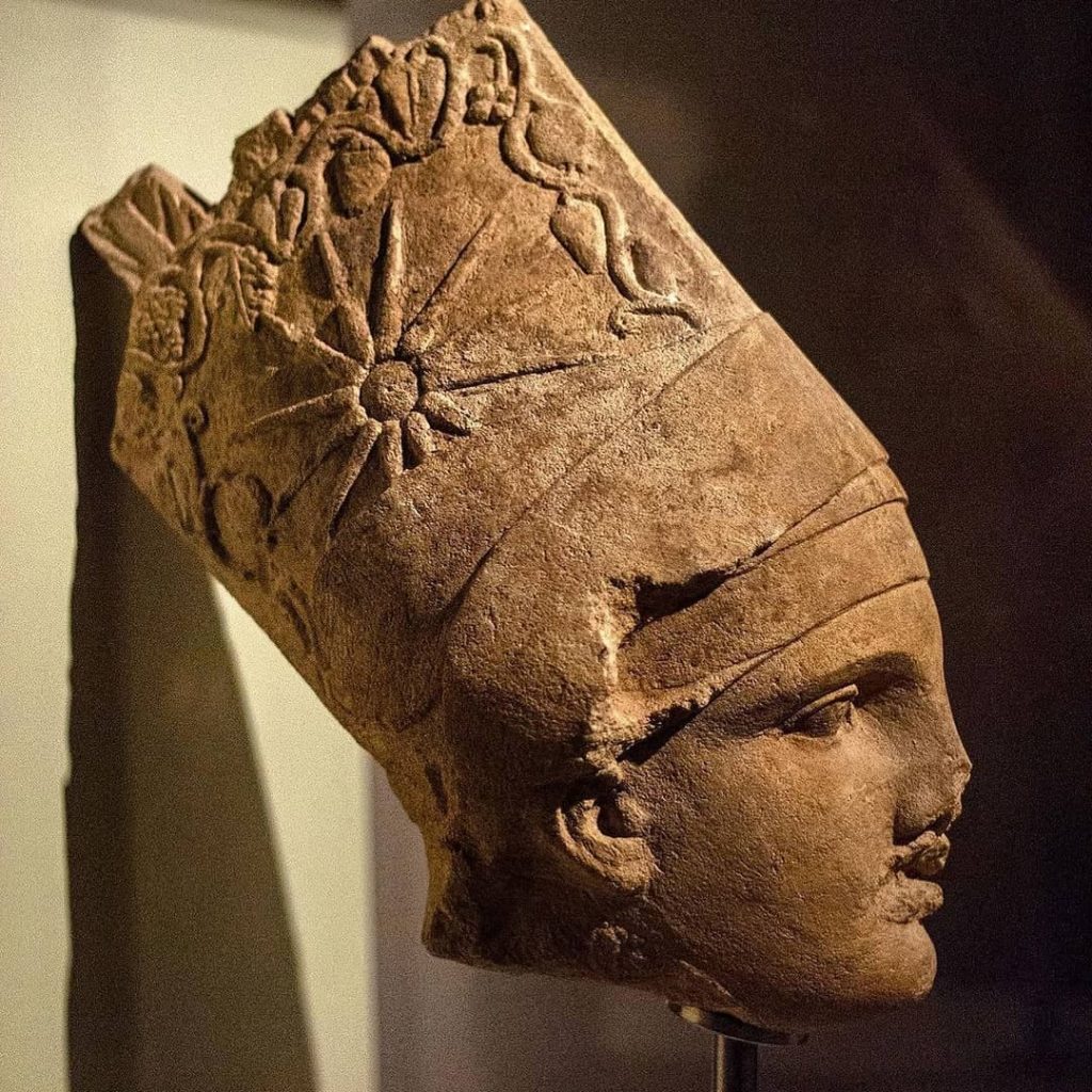 Müze Bölümleri ve Koleksiyonları