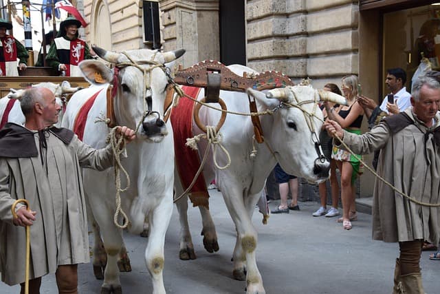 Siena Festivalleri