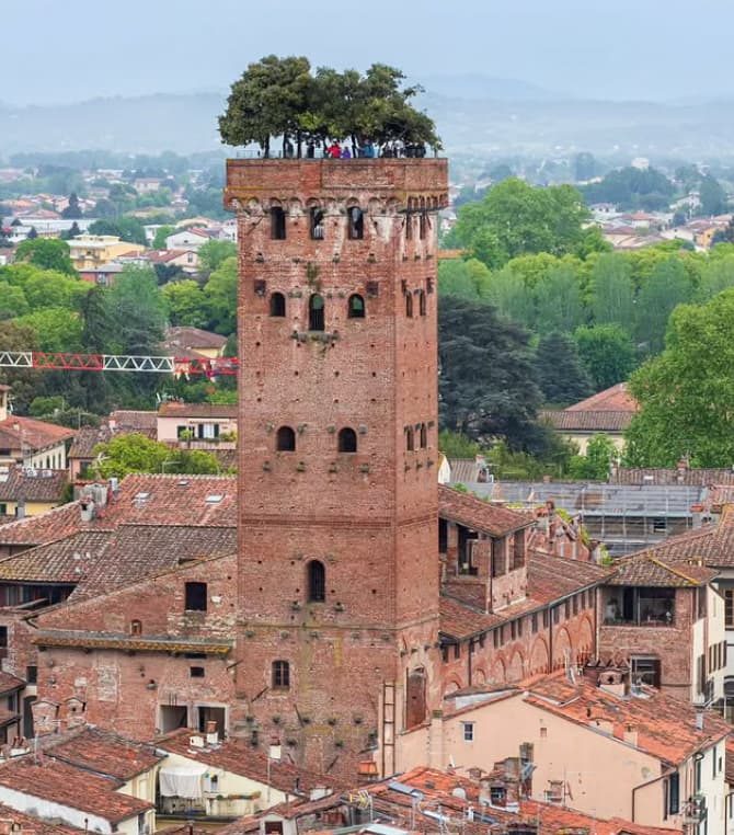 Guinigi Kulesi (Torre Guinigi)