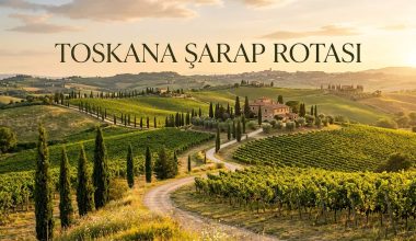 Toskana Şarap Rotası Rehberi