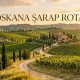 Toskana Şarap Rotası Rehberi